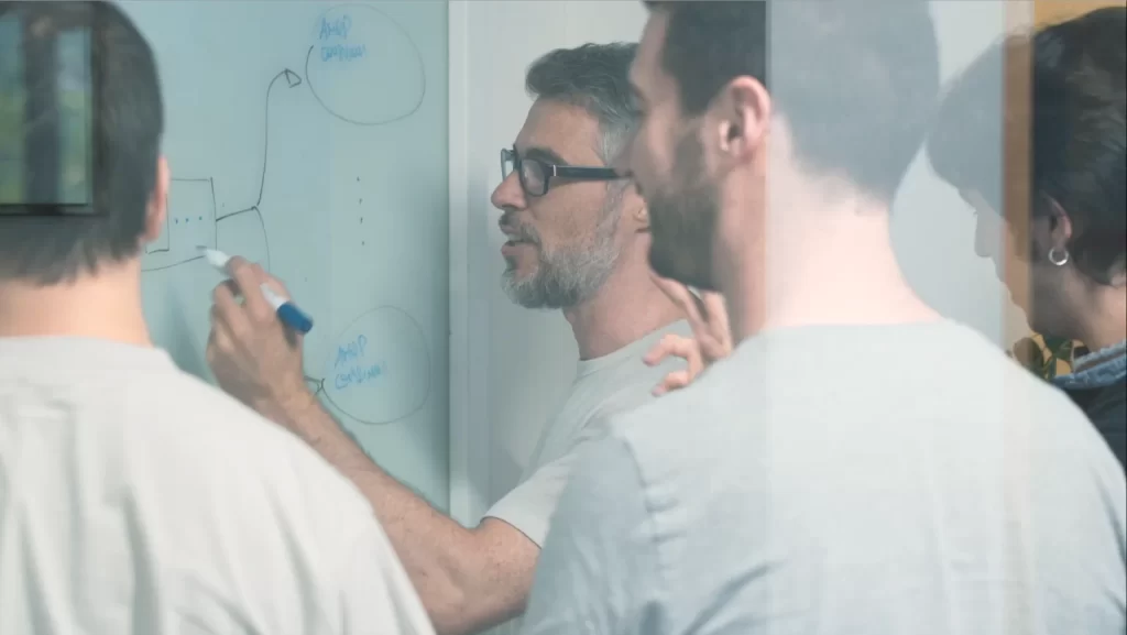 Team Engineering
